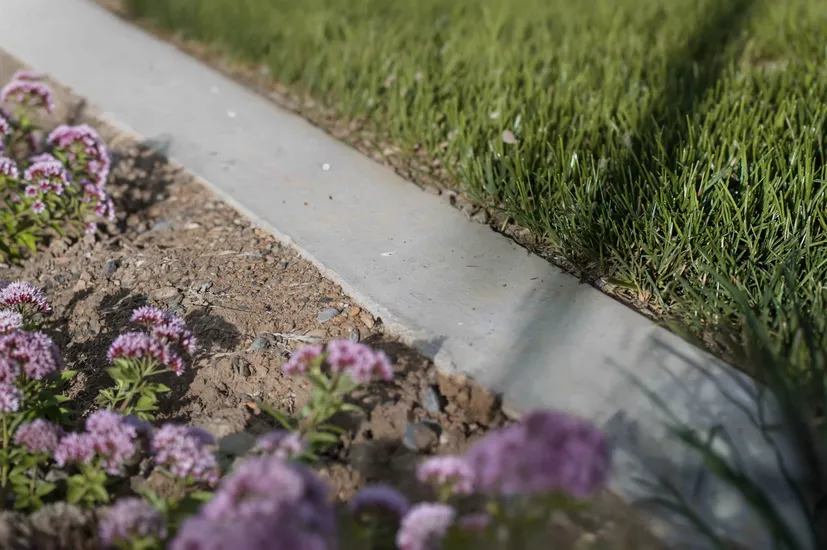 Concreted garden edging separating lawn and garden flower beds for clean landscaping