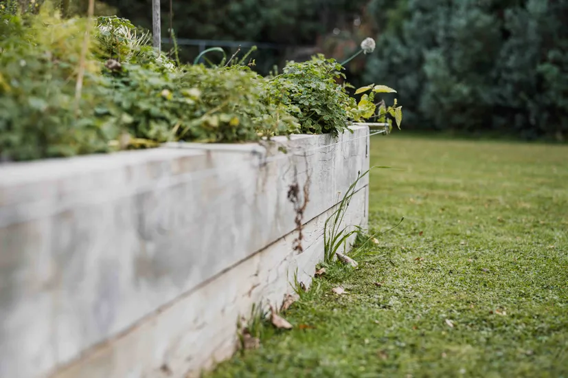 Raised garden bed to separate lawn and vegetable patch garden