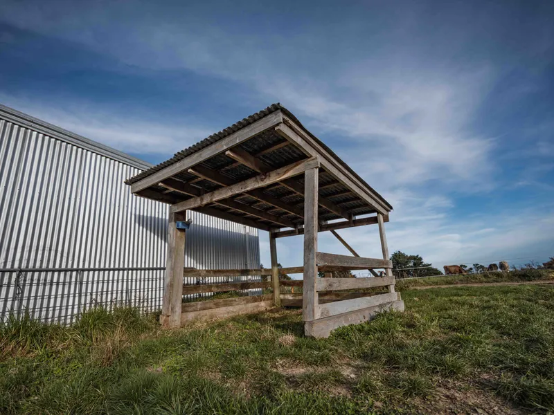 Bobby calf shed shelter that is portable o sit over top of the outdoor calf pen