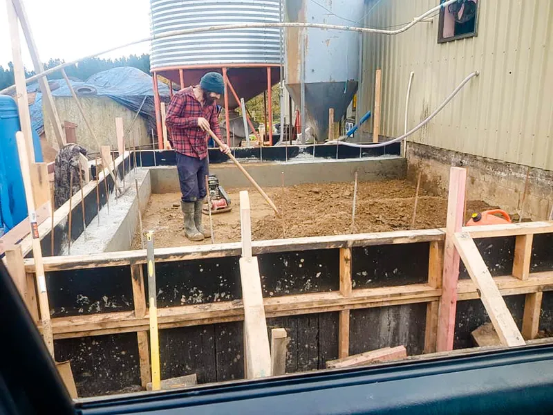 Builders pouring concrete platform for a dairy cow shed