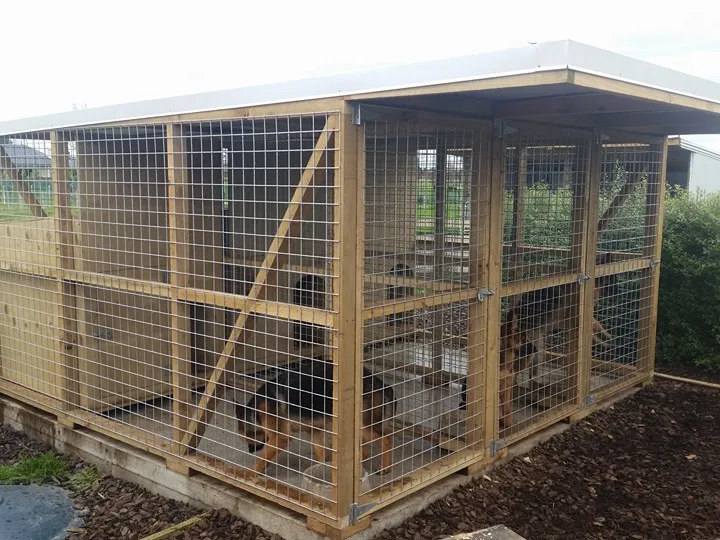 3 run dog kennels to house working dogs