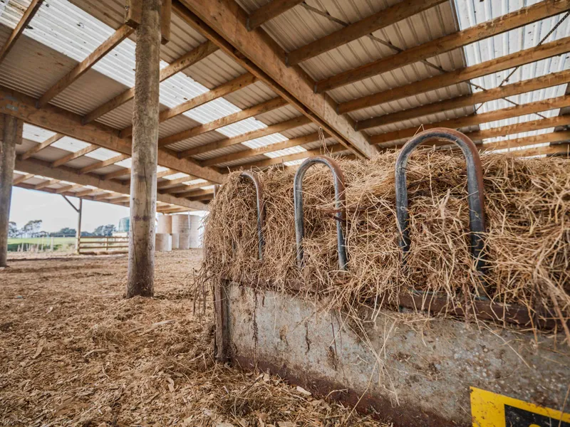 Hay stroage in herd home for feeding and sheltering cows during winter months