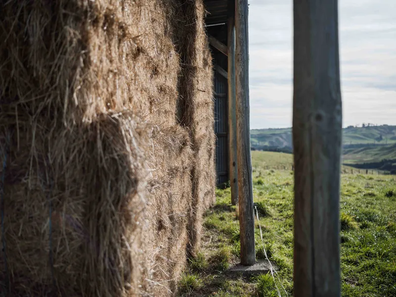 Pole shed built to store hay