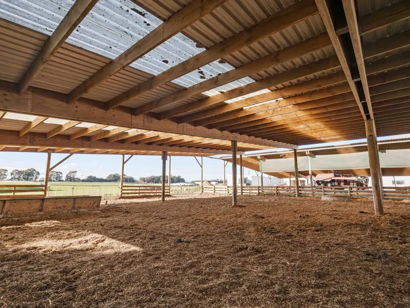 Large herd home to shelter winter stock