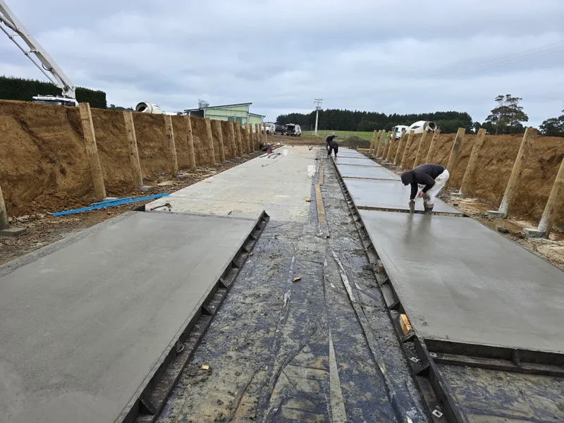 Wall panels for silage bunker being poured by Greenfield Construction