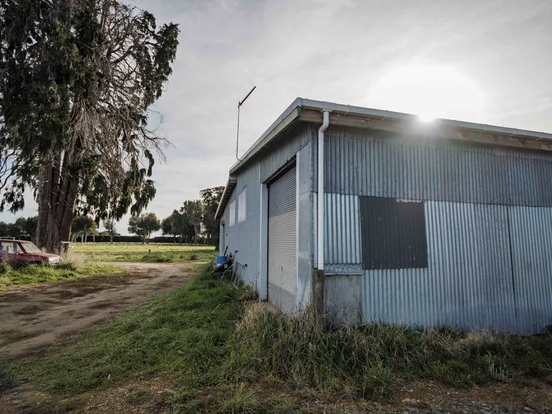 Workshop shed using recycled corrugated iron for walls
