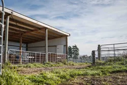 Extension added to calf rearing shed on dairy farm to create more bays
