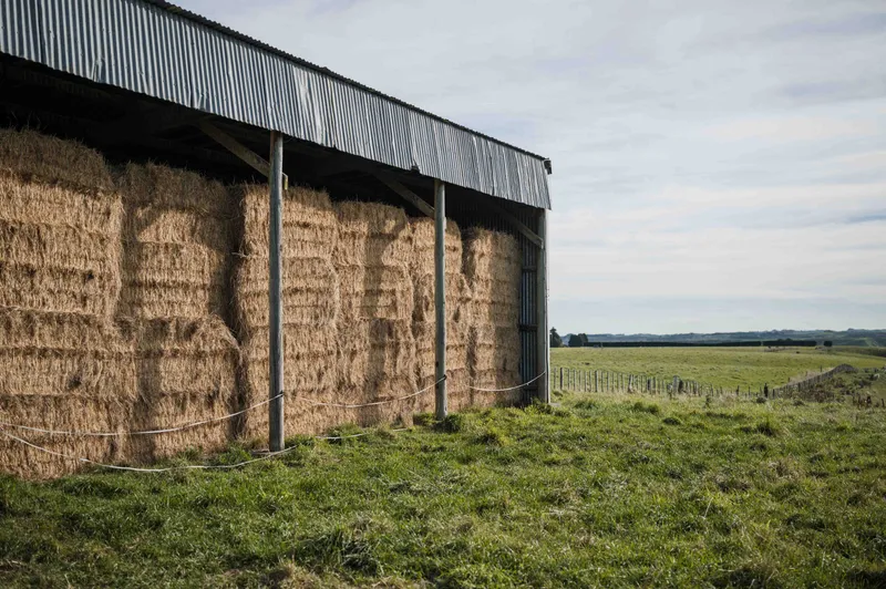 Weathered hay shed and feed storage building on a rural property